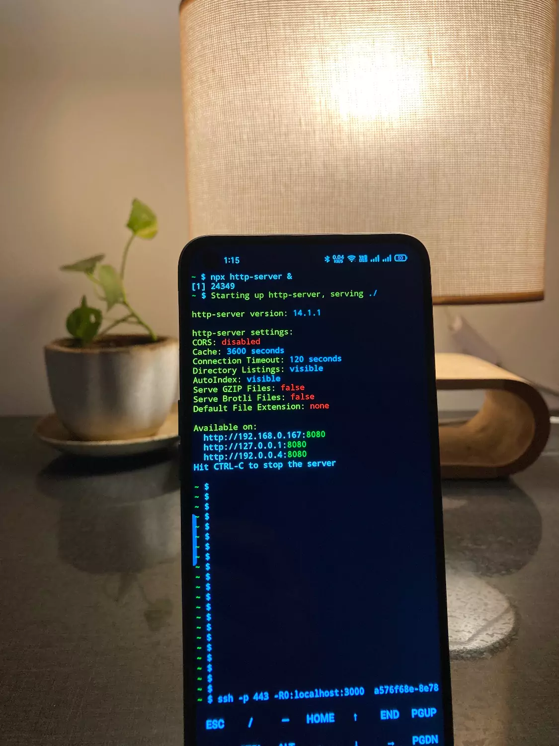 Android phone with node http server on termux