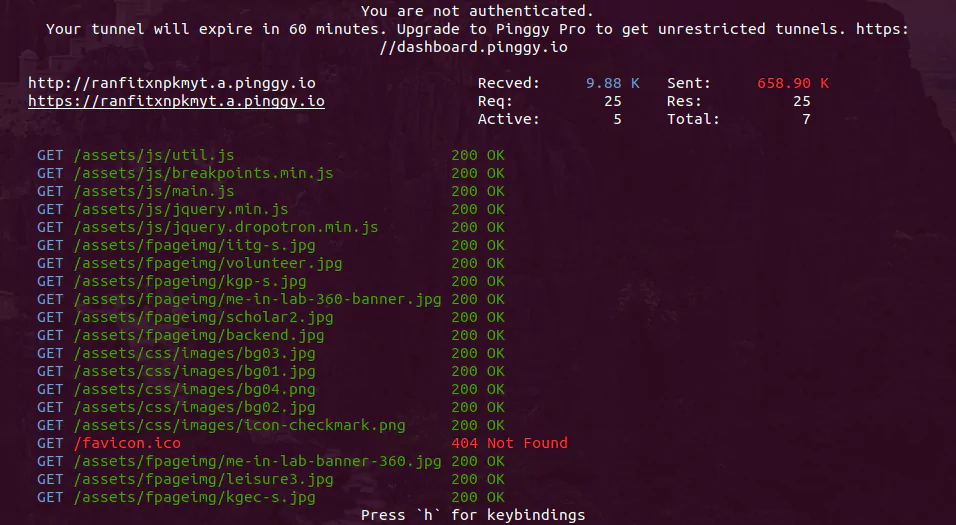 Host name manipulation with pty