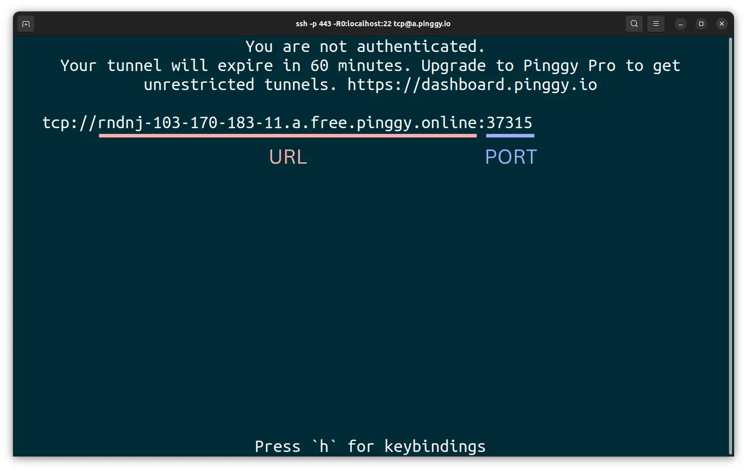 Pinggy tunnel for T-Mobile home internet port forwarding